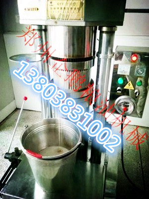 各種廠家生產的小型榨油機各有千秋(圖1)